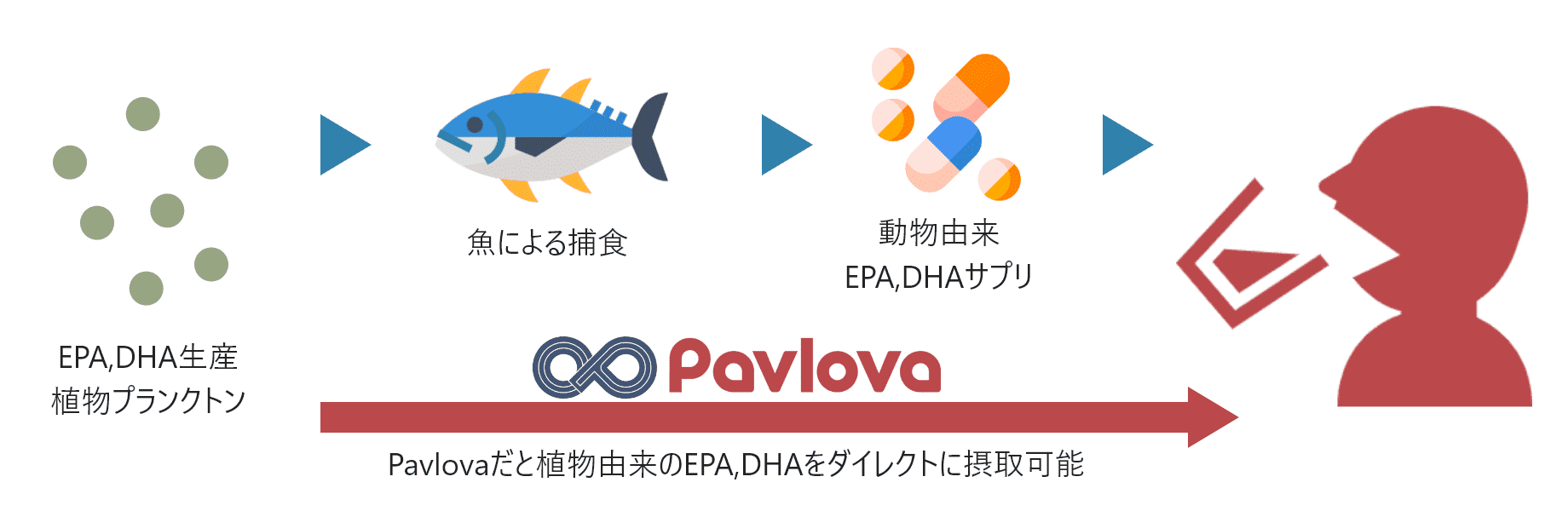 Pavlovaだと植物由来のEPA,DHAをダイレクトに摂取可能